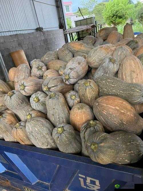 51 热门大瓜今日大瓜:震惊