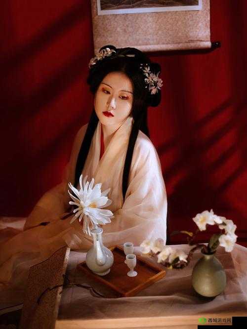 《花云裳之出淤不染羽衣探秘：羽衣半半问答答案集锦》