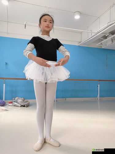 六年级夏天从女生袖子看：别样视角的夏日时光