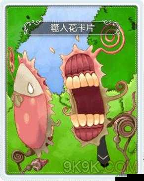 探秘仙境传说 RO 噬人花卡片:获取方法全解析