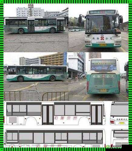 Yingdan 小镇公交车尺寸：探秘其独特规格