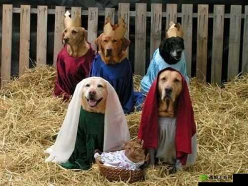 玩人狗大战的实现方法:模拟战斗,角色扮演