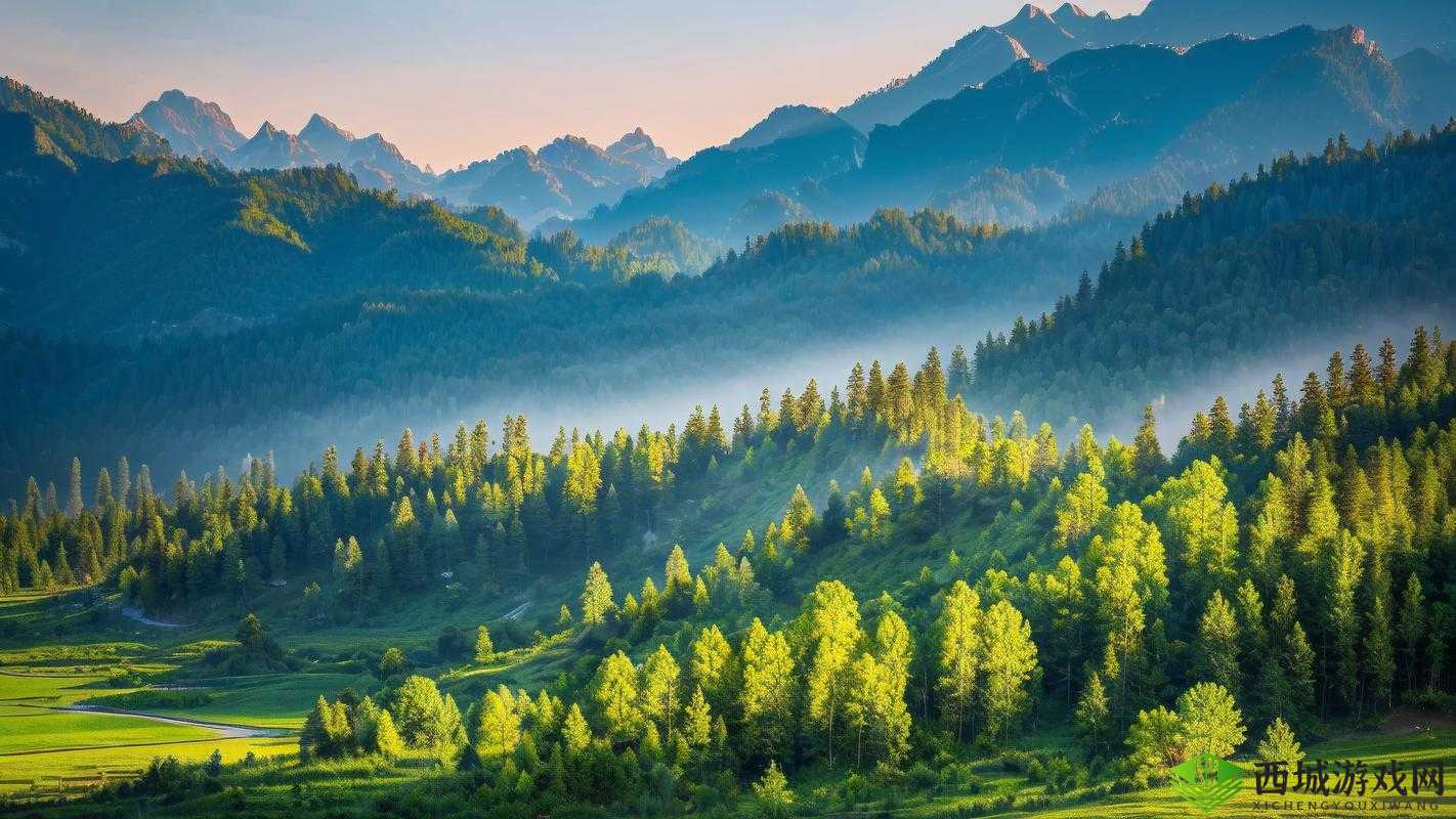 双手在你茂密森林中游走:探索自然之美