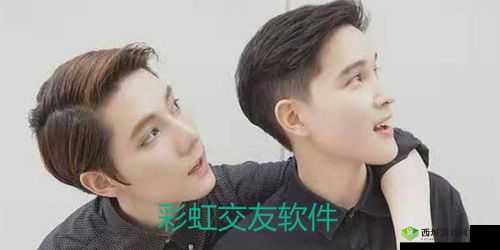 蓝站彩虹gary吧：精彩内容等你来探索