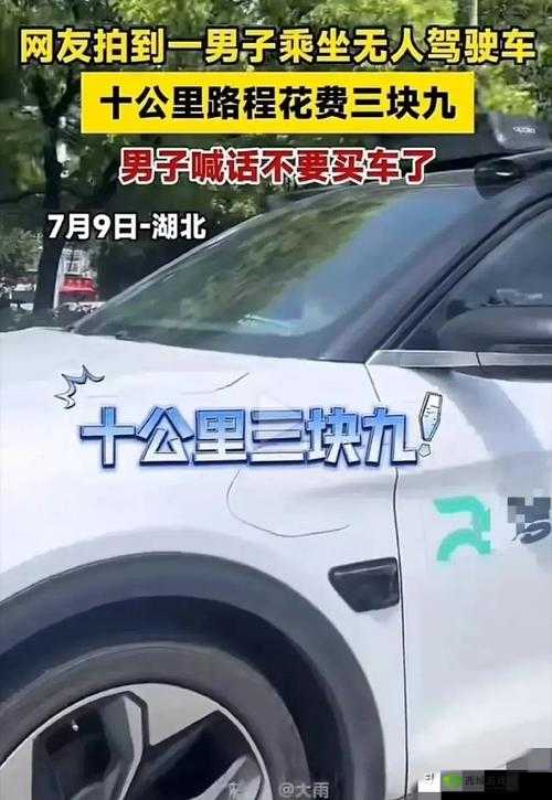 老周与张琳乘坐的公交车相关事件