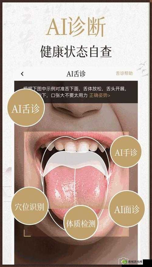 丰年经继拇中文 2 特色:丰富内容多元呈现