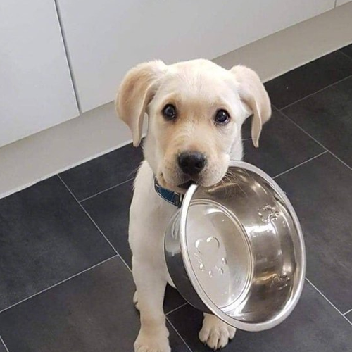 小家伙你找错地方了:错的不是我