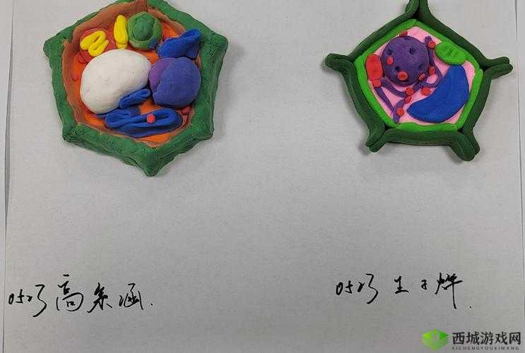 我成了生物课的教具篇 1 ：奇妙的课堂体验