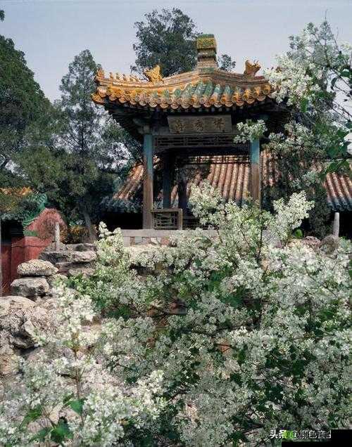 乾隆御花园 Hlh:美丽的皇家园林