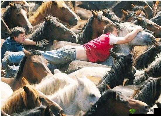 激情碰撞:人马大战 CRM