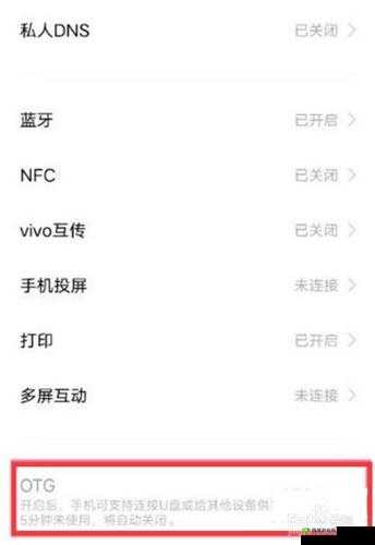 3.0.3 免费 vivo 版破解大全之相关介绍