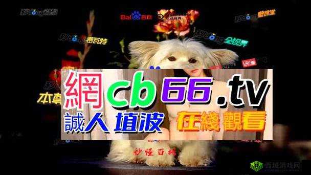 成品网源码 78W78:强大稳定且高效