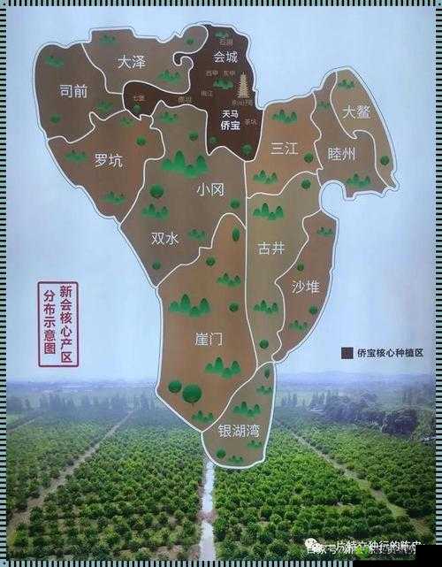 一线产区二线生产区的区别