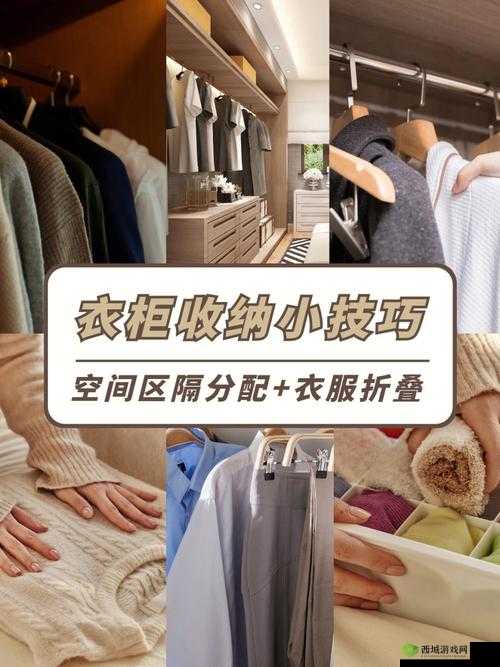 小扫货这么能夹：超强收纳技巧分享