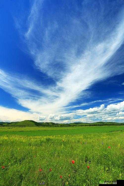 仙踪林 COMPANY LIMITED:探寻自然与生活的交融