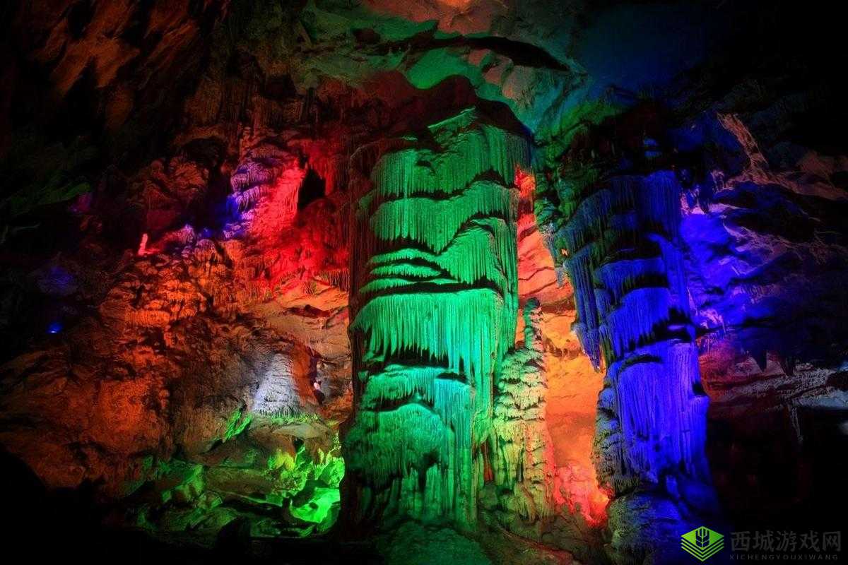 x9x9x9 任意槽 2024:探索未知的奇妙之旅