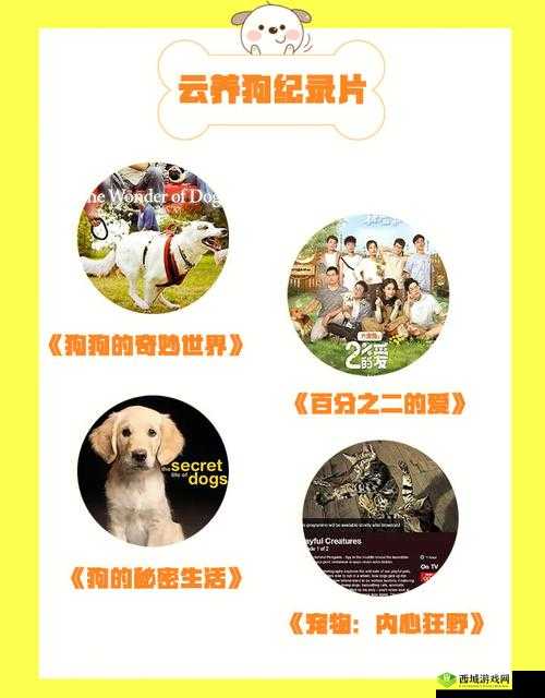 人狗胶配方大全:狗狗的奇妙世界