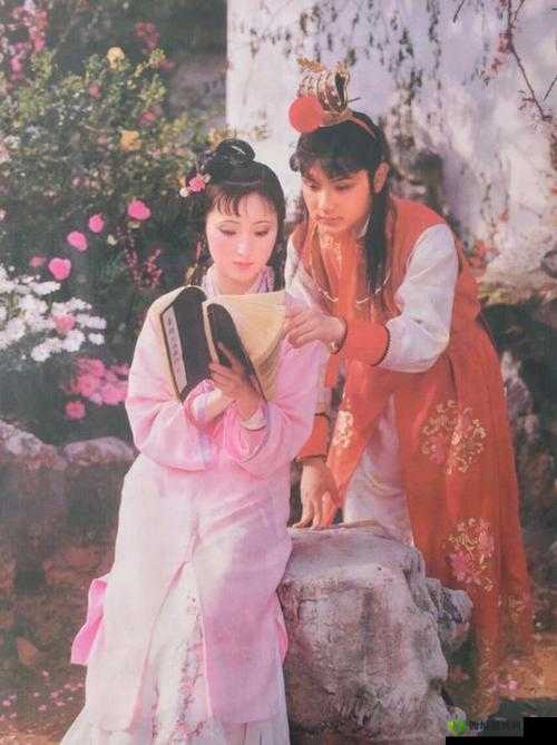 宝玉搂着黛玉的腰倾诉衷肠