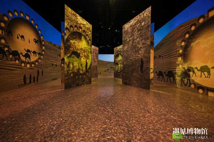 494949 大但人文艺术是免费的吗:探寻艺术的免费之路