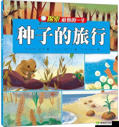 17.c-起草红桃国际:探索背后的故事