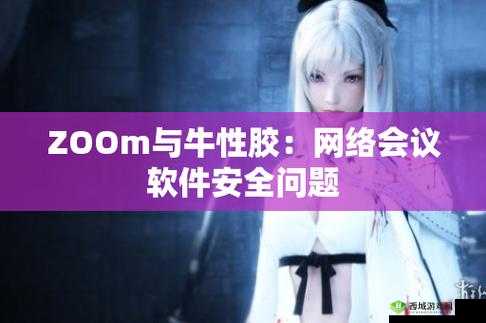 Zoom 与牛性胶 ZOOm 一:两者对比分析