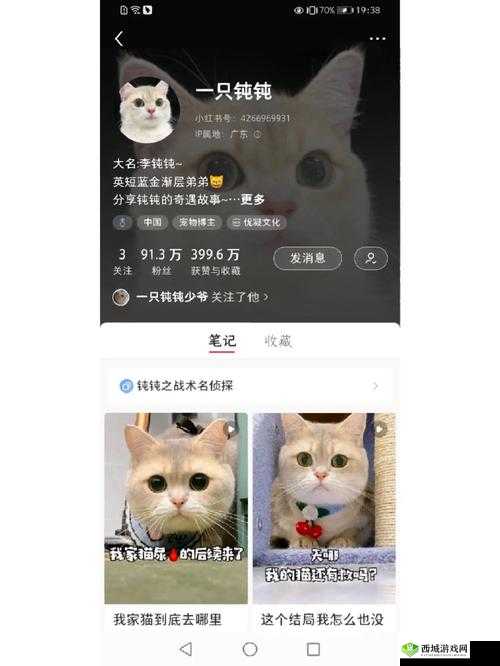以主播与猫咪为主角的安装配置指南:打造温馨互动直播间故事背景及攻略