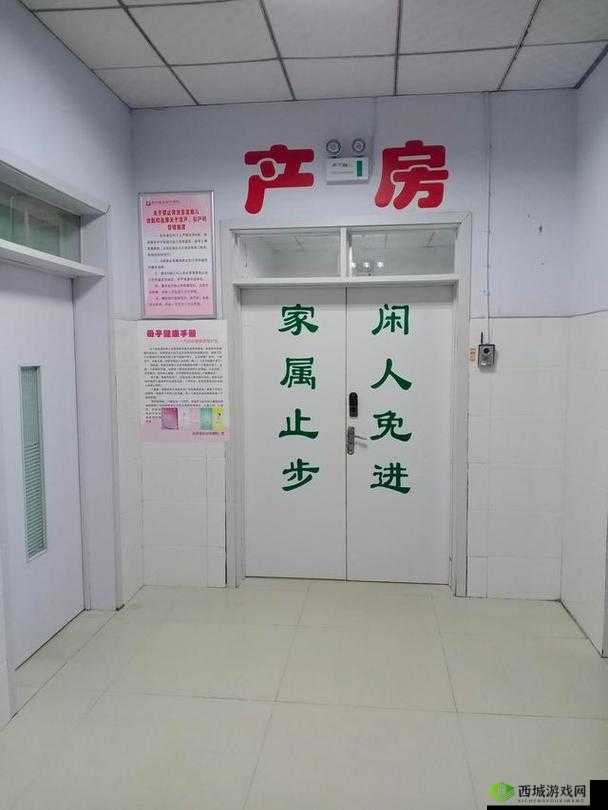 医院的特殊待遇 5:揭秘背后的关怀