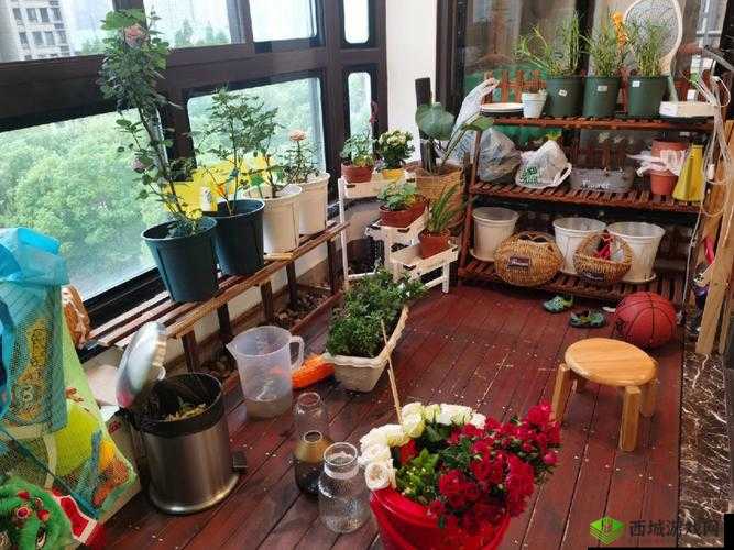 亲小花园技巧:如何更好地亲小花园