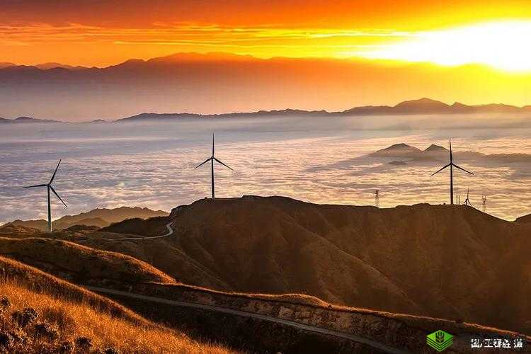 tai9.vip 优质资源平台等你来探索