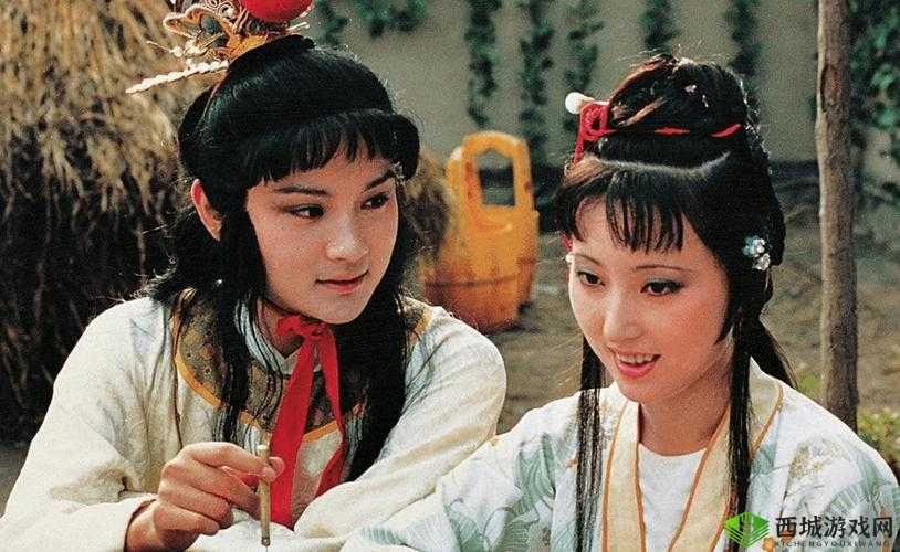 黛玉初试金箍棒：别样演绎