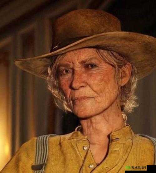 荒野大镖客老太太 500:西部传奇人生