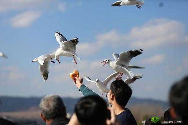 麻花传 MD0084:一部精彩的作品