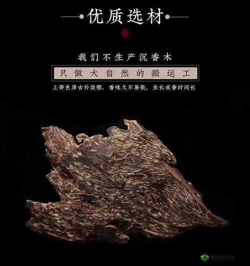 沉香哪里的产地最好:东南亚