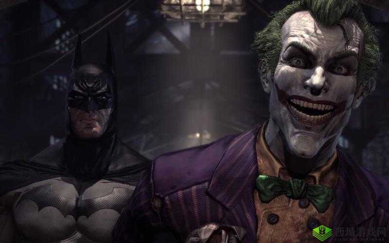 蝙蝠侠阿卡姆疯人院游戏花屏问题解析与解决策略探讨:全面解析花屏成因及实用解决方法
