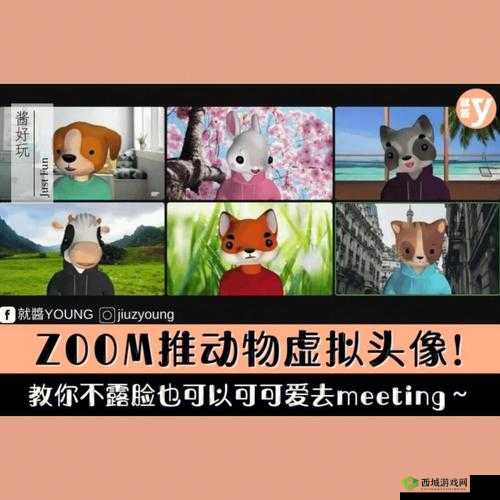 ZOOM 动物人:一场关于动物与科技的奇妙之旅