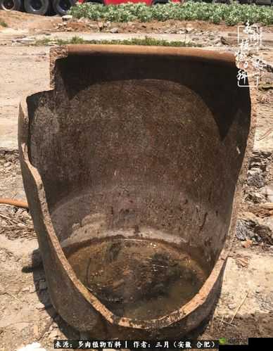 煎饼车折一枚针 25 肉截图:背后的故事