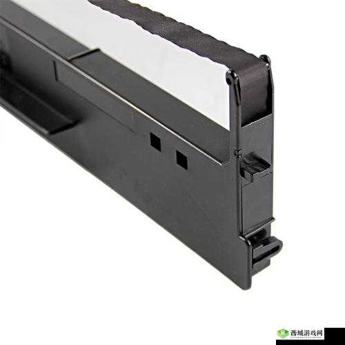 DS2600II 色带:优质打印的必备之选