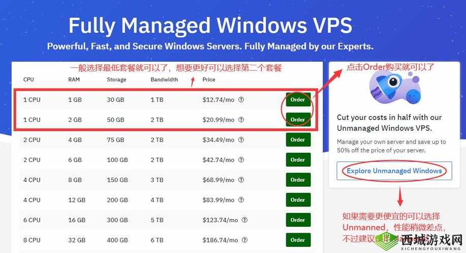 美国和欧洲 WINDOWSVPS:优势与特点介绍