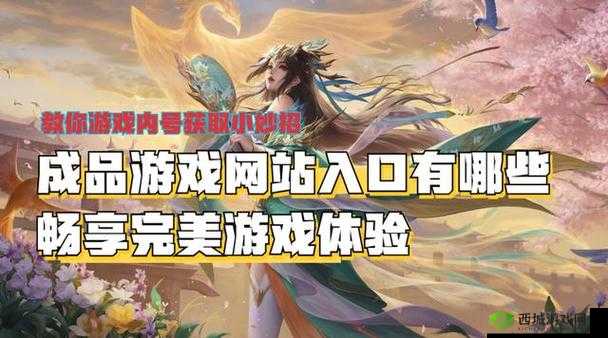 成品网站 5668 入口:丰富资源畅享平台