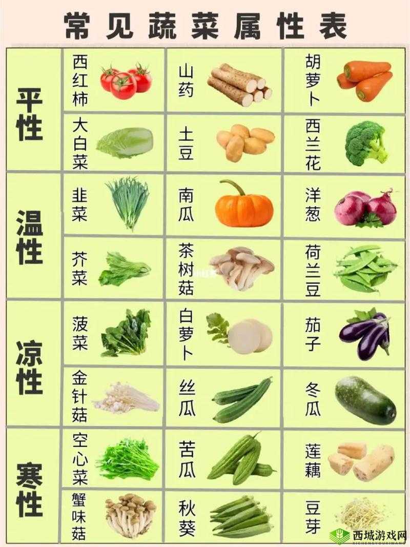 丝瓜:清热化痰、凉血解毒;绿巨人蕾丝秋葵:增强免疫力、保护心血管