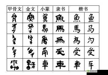 汉字的奥秘：全面解析汉字安装步骤与配置指南