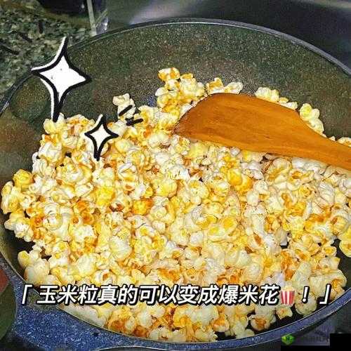 爆米花制作全攻略:安装与配置爆米花冲冲冲的详细步骤说明