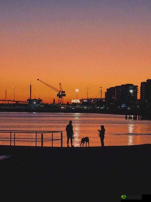 天天想你今夜无人入眠杨光：心灵的倾诉