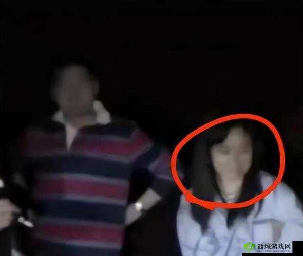 孙美琪疑案:故事工地分尸案攻略