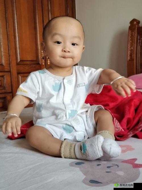 八寸长的大宝贝,究竟有何特别之处?