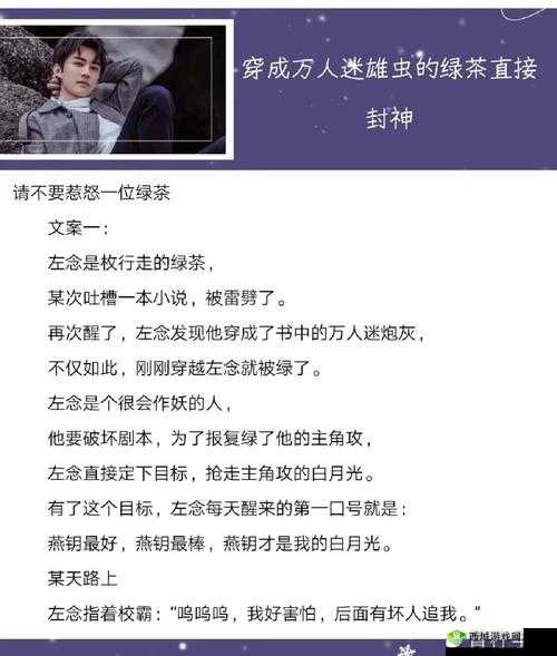 代号虫族安装及配置详细说明指南:切准备就绪,迈向完美部署之旅