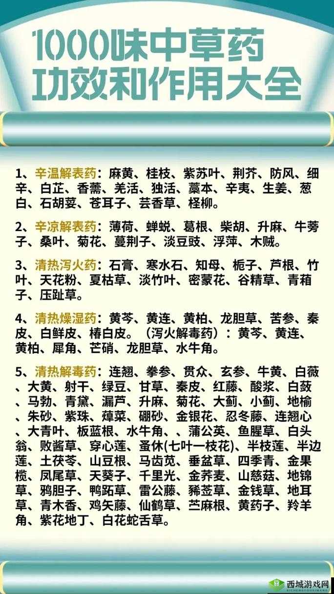 一吃就硬的草药:功效与作用介绍