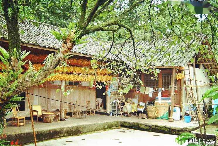 花田小院道具组合攻略:打造完美乡村生活空间