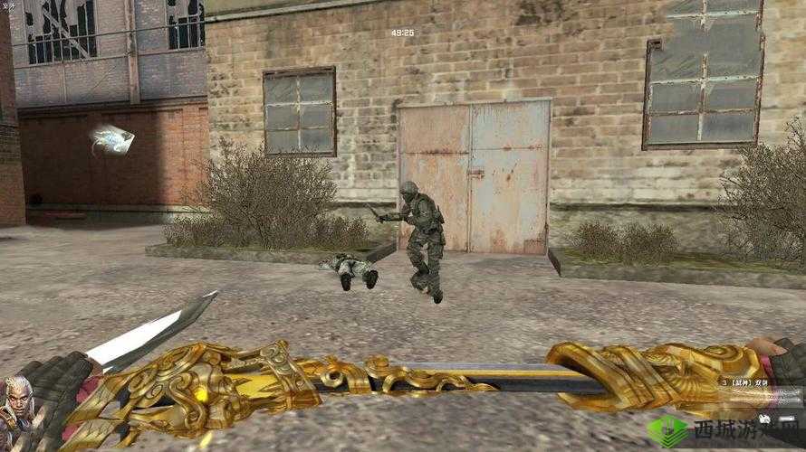 反恐精英:弑神双剑如何开启剑阵