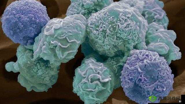 生物图鉴:揭开其神秘面纱与强大功能解析